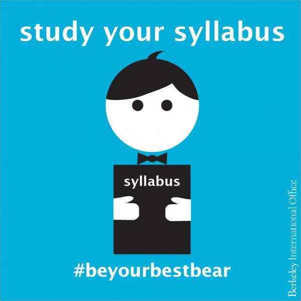 Study Your Syllabus