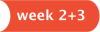 Week 2 & 3
