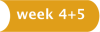Week 4 & 5